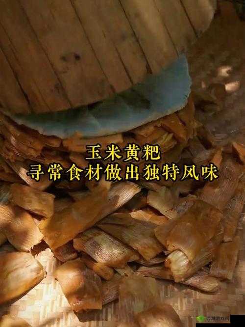 2047 口袋干粮还能这样吃